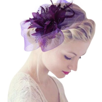 An Elegant Fascinator Hair Clip