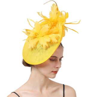 Women chic Feathers Hats