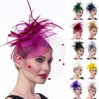 Fascinators Hat with Veil