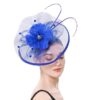 royal-blue