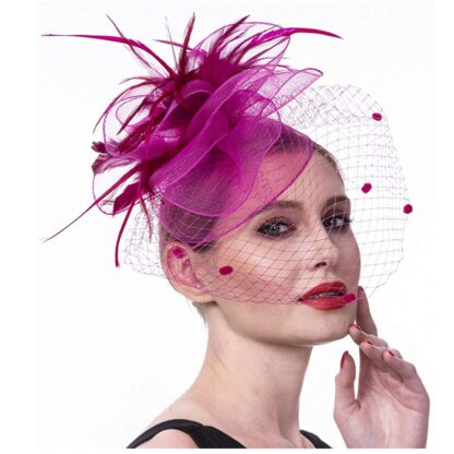Glamorous Cap with Net and Feather